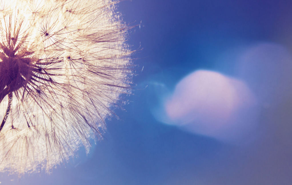 BG大游·(集团)视讯官方网站